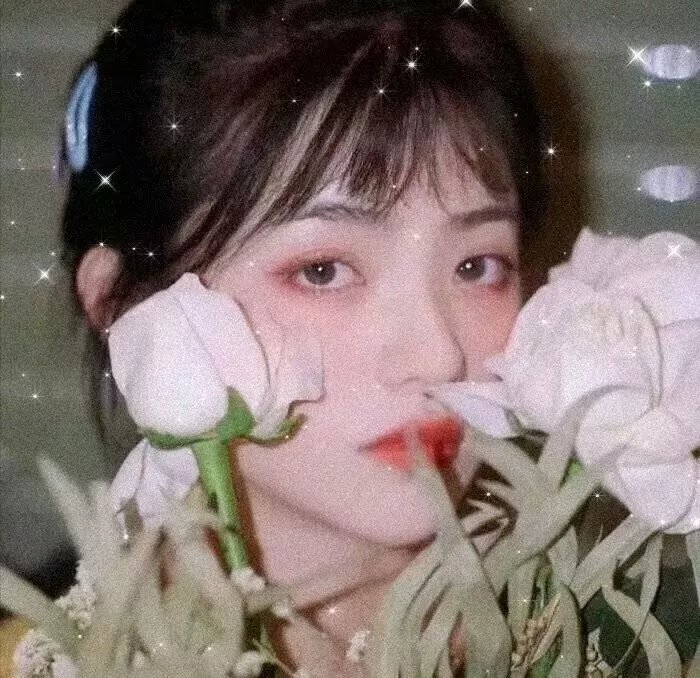 法兰西